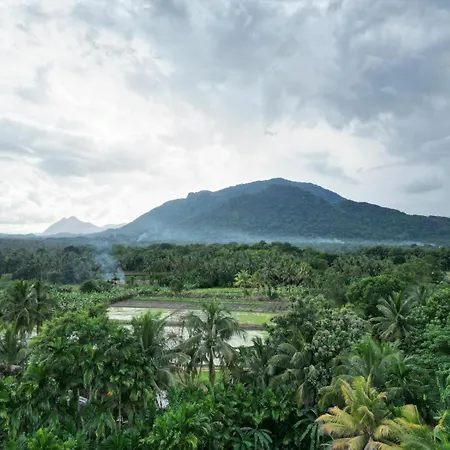 Blue Mountains View Apartment Dambulla Exterior photo