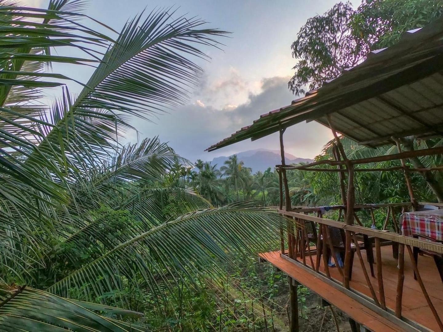 Blue Mountains View * Dambulla