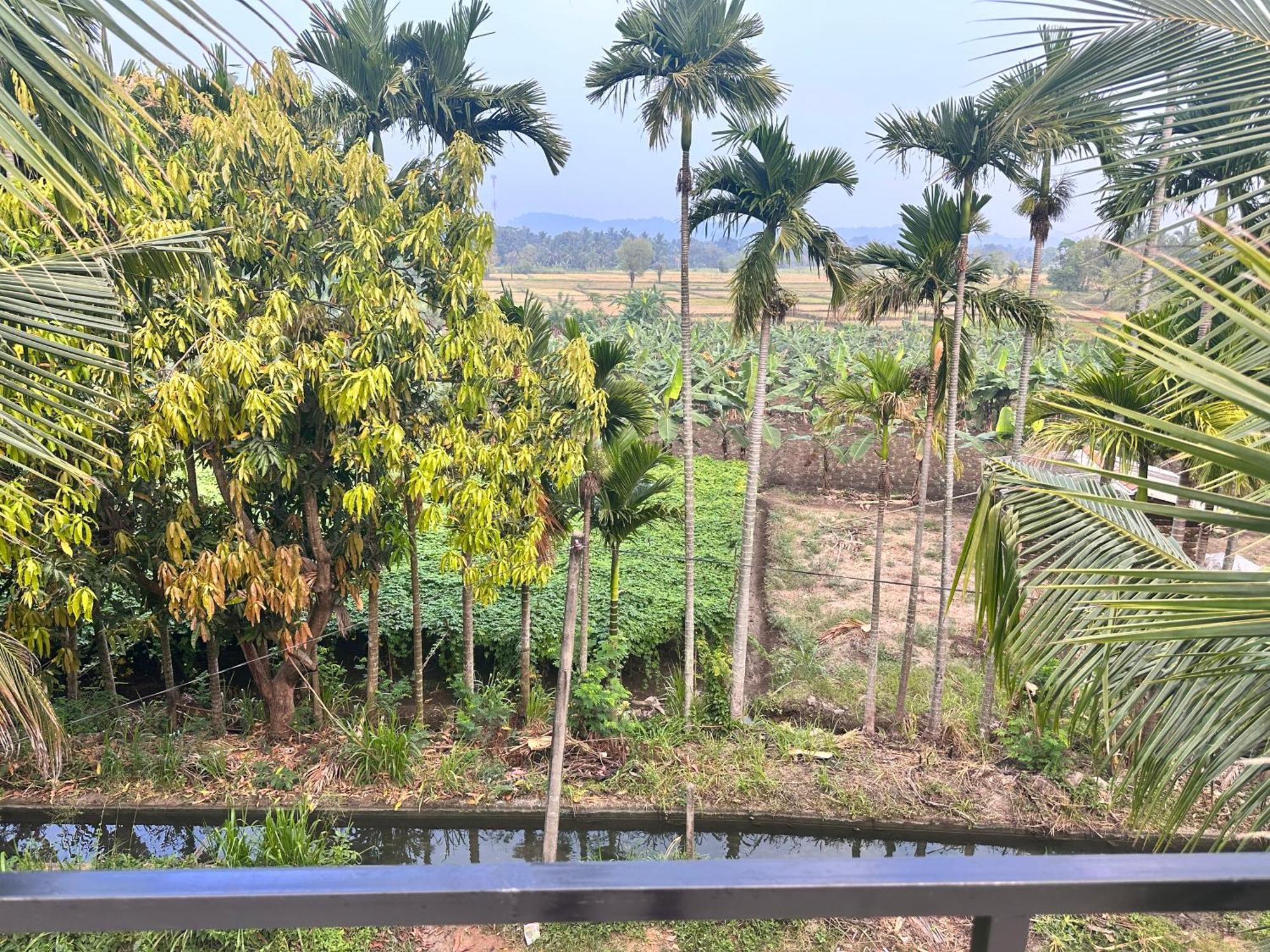 Blue Mountains View Homestay