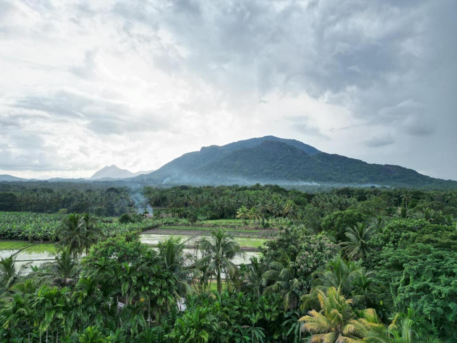 Blue Mountains View Dambulla