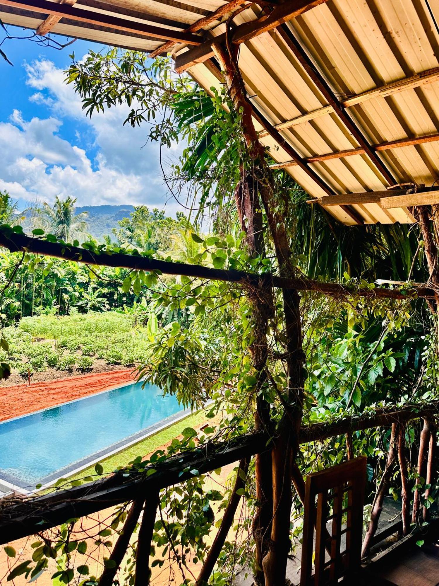 Homestay Blue Mountains View *