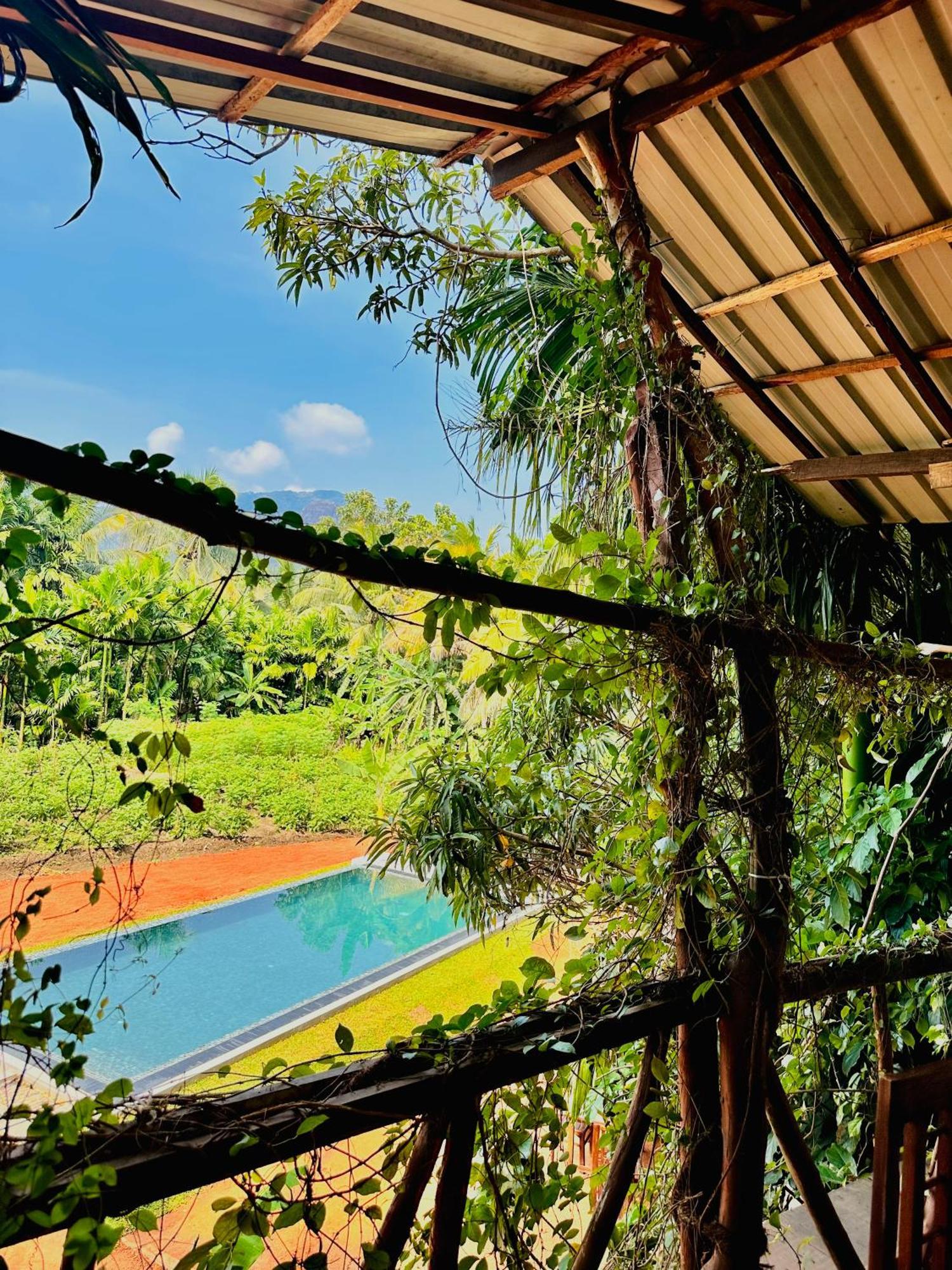 Blue Mountains View *
