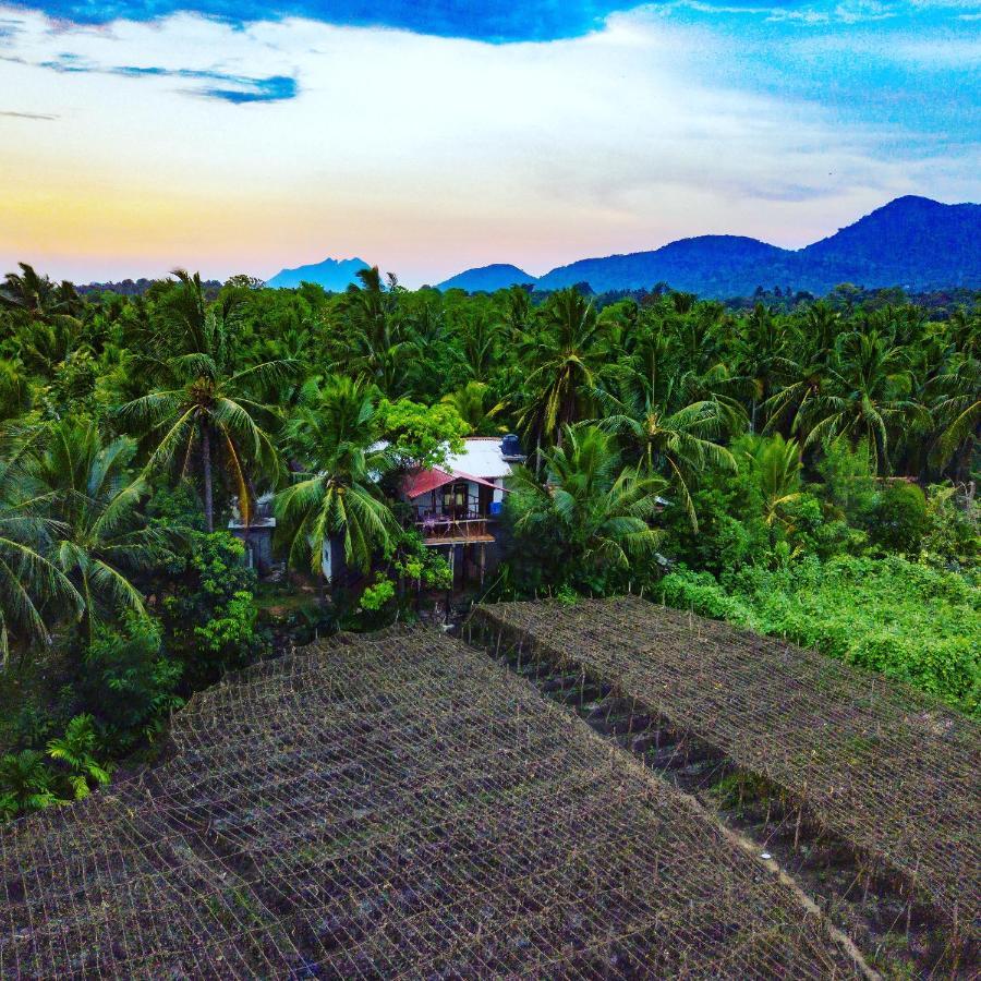 Blue Mountains View Homestay
